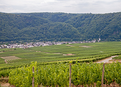 Blick auf Minheim